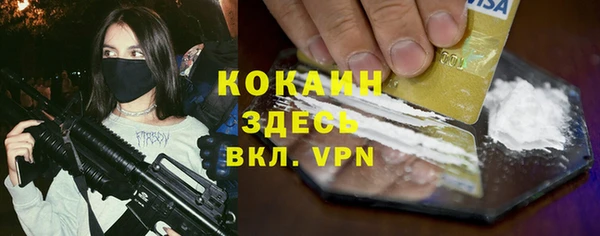 хмурый Белокуриха