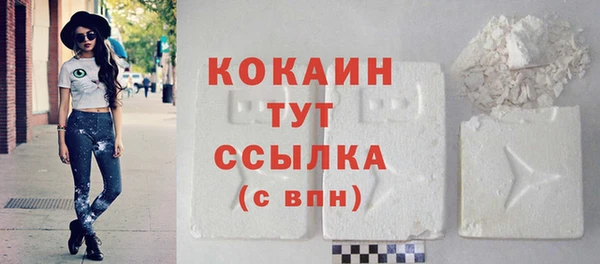хмурый Белокуриха