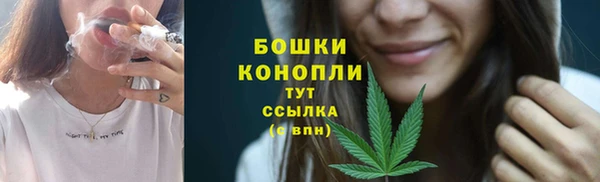 хмурый Белокуриха