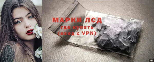 хмурый Белокуриха