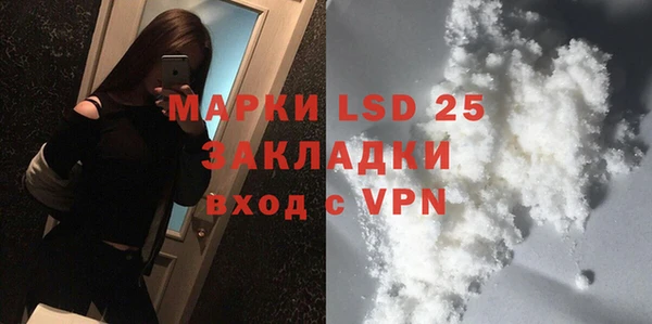 хмурый Белокуриха